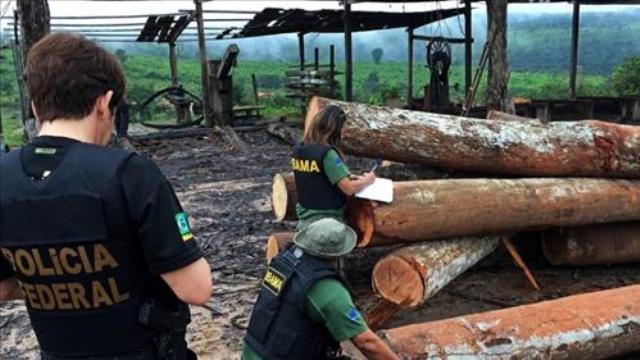 TRF1 reforma decisão da Vara Federal de Vilhena sobre extração de madeira em Espigão do Oeste