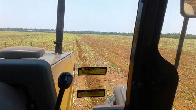 Com semeadura em andamento, chuvas irregulares preocupam plantadores de soja em Cerejeiras