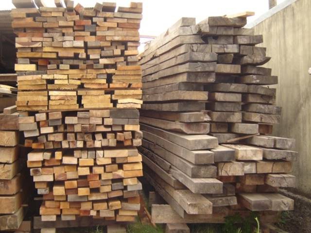 DEU NA FOLHA: PRODUÇÃO DE MADEIRA CAI PELA METADE NA AMAZÔNIA