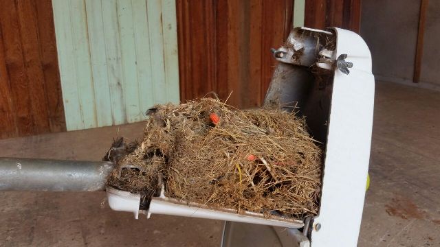 Empresa dá exemplo ao evitar que filhotes de pássaros morram de choque elétrico em Chupinguaia