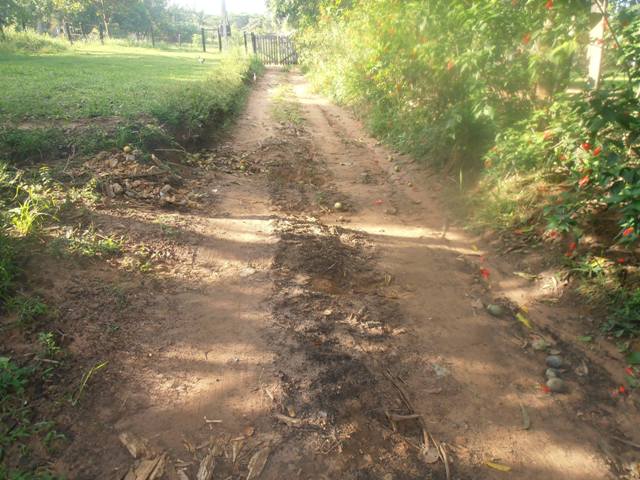 Agricultor diz que programa da prefeitura que deveria ajudar chacareiros em Vilhena “não está funcionando”