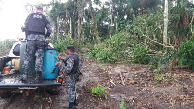 Corumbiara: Polícia Ambiental apreende máquina fazendo desmatamentos em área de preservação