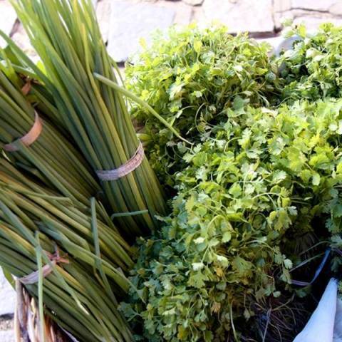 Sem usar “veneno”, pequenos produtores rurais adotam agricultura agroecológica em Vilhena