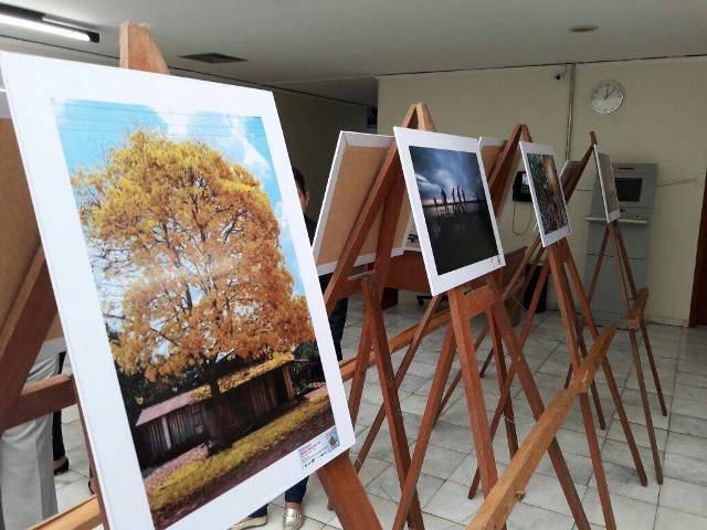 Com vilhenense entre os premiados, exposição com as melhores fotos produzidas em RO agita a cidade