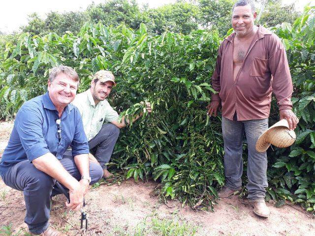 Secretário de Estado da Agricultura está em Vilhena para entregar 82 mil mudas de café clonal