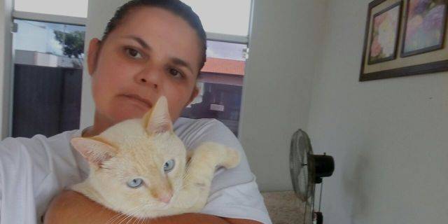 Covardia: gatos são envenenados de propósito em bairro de Vilhena e caso vai parar na polícia