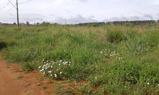Após conscientização, moradores param de jogar lixo próximo a parque industrial em Cerejeiras
