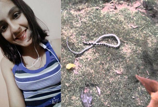 Picada por jararaca em Colorado do Oeste, menina de 12 anos é atendida em hospital de Vilhena