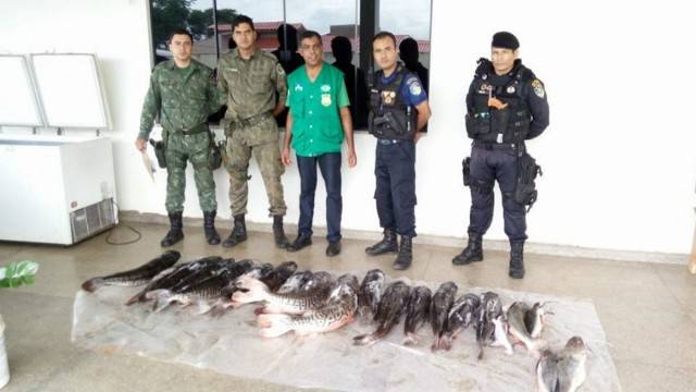 Operação conjunta resulta na apreensão de pescados e material de pesca em Cabixi