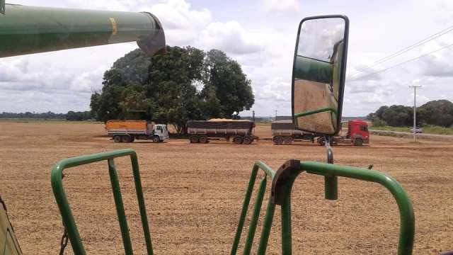 Agricultores concluem colheita de soja com alta produtividade e preço em alta na região de Cerejeiras
