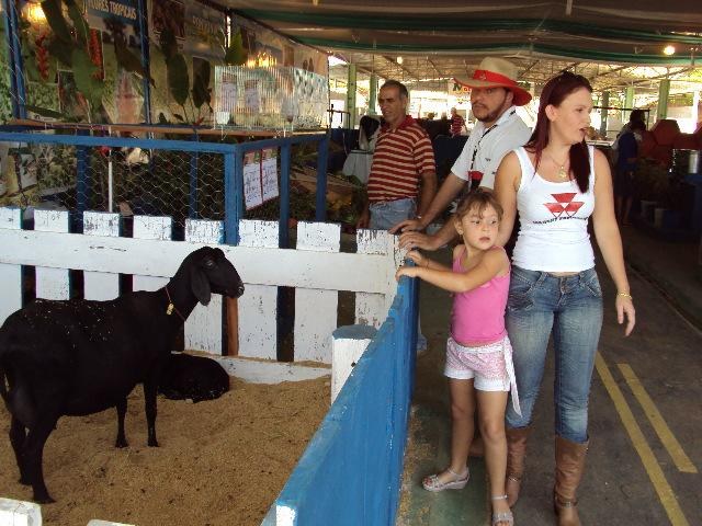 EMATER MONTA “PARQUINHO” PARA CRIANÇAS NA EXPOVIL