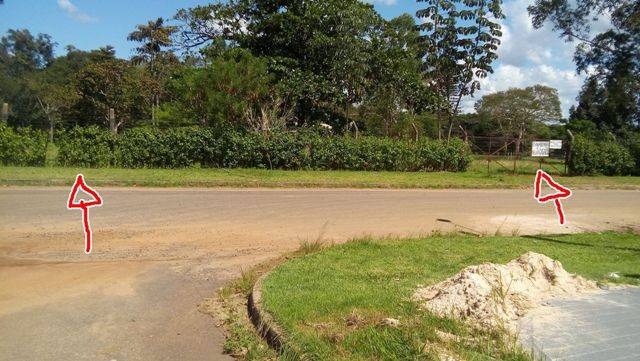 Em Vilhena, bairro está há um ano escuridão e casas de moradores são invadidas por cobras