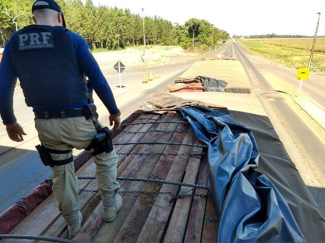 Polícia Rodoviária Federal apreende, em Vilhena, caminhão transportando madeira ilegal