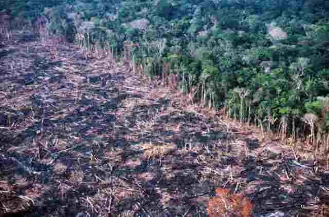 TEMPESTADE DERRUBOU MEIO BILHÃO DE ÁRVORES NA AMAZÔNIA EM 2005