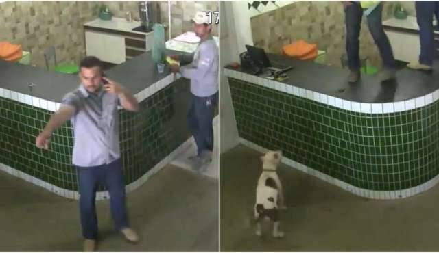 ASSISTA: vídeo de pit Bull invadindo loja em cidade de Rondônia viraliza e tem final surpreendente