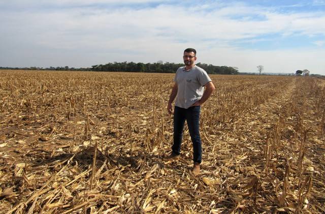 Engenheiro agrônomo alerta: arrendamentos de curto prazo limitam produtividade agrícola na região de Cerejeiras