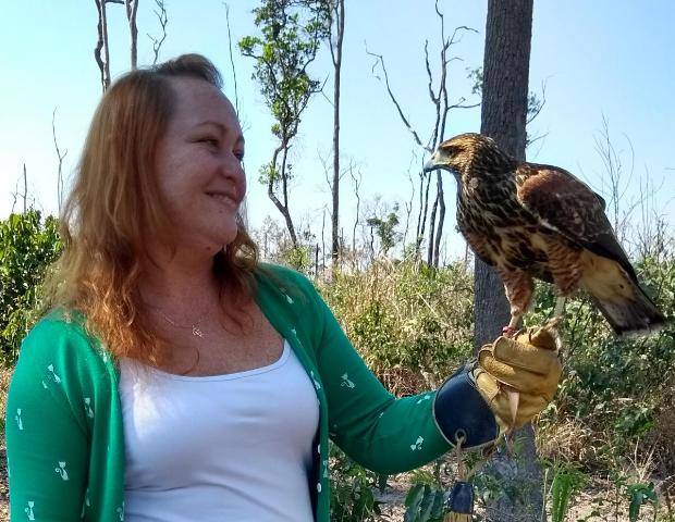 Falcoaria: em Vilhena, empresa treina aves de rapina para capturar animais que transmitem doenças