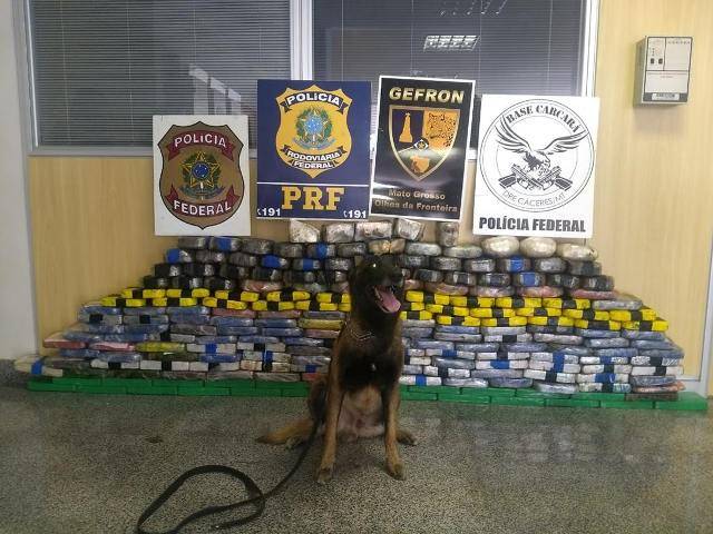 Em cidade próxima a Vilhena, polícia apreende 215 kg de cocaína que iam de Rondônia para o Nordeste