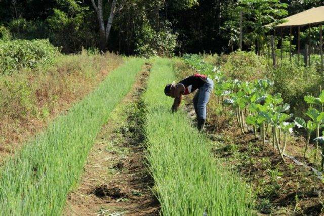 Produtores rurais do Cone Sul recebem certificado de reconhecimento de ocupação de propriedades