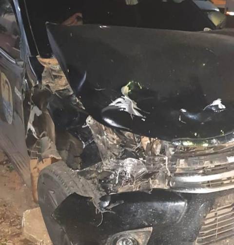 Cavalo em rodovia que liga Vilhena a Colorado provoca acidente envolvendo candidato genro de Cassol