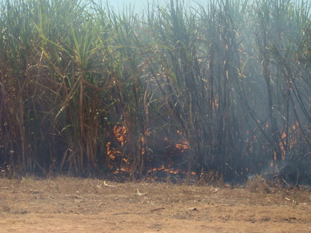 INCÊNDIO CONSOME CANAVIAL PERTENCENTE A USINA DE ÁLCOOL EM CEREJEIRAS