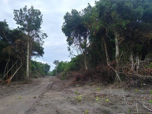 Enquanto a cúpula da Sedam está na cadeia por  corrupção, devastação ambiental avança em cidade do Cone Sul