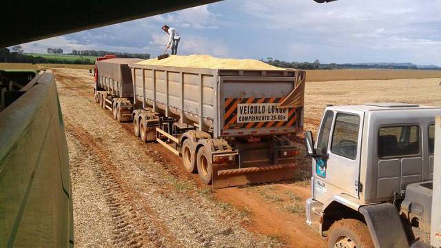 Atraídos pela riqueza rural, empresas e profissionais do agronegócio apostam no município de Cerejeiras