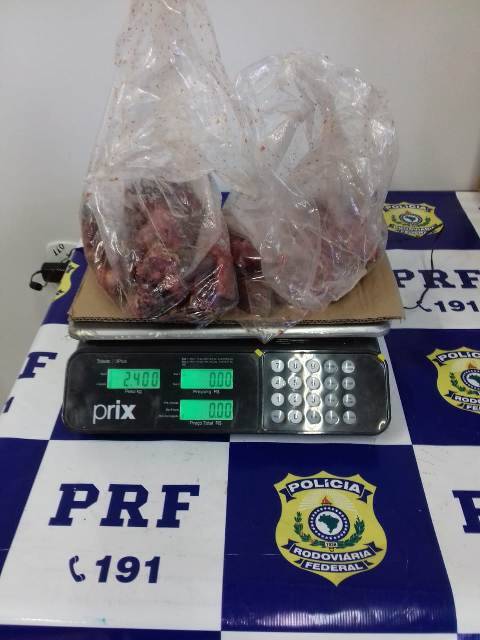 Em Vilhena, equipe da PRF flagra motorista mineiro transportando jabutis abatidos em Rondônia
