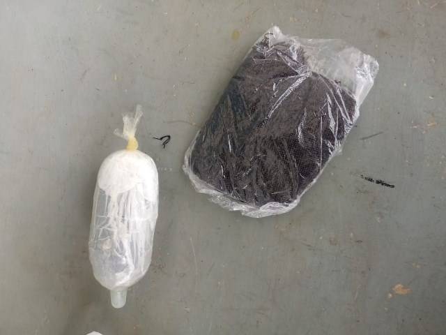 Mulher é detida tentando entrar no presídio de Vilhena com substância introduzida no órgão genital
