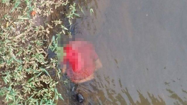 Corpo de homem de 46 anos é encontrado em rio da região; o homicídio aconteceu no dia de Natal