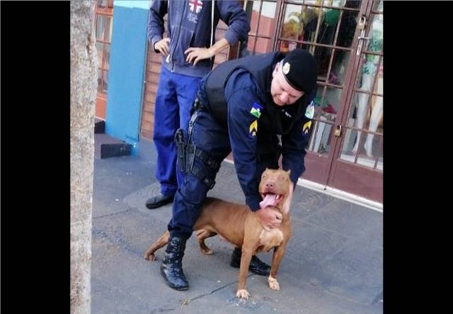 Sem usar arma, sargento da PM consegue dominar pit bull que assustava pessoas em bairro de Vilhena