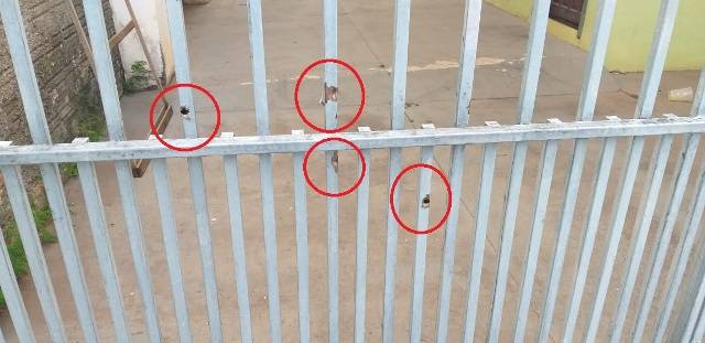 Garota de 19 anos vai embora de Rondônia temendo ser assassinada por ex-marido policial em Cerejeiras