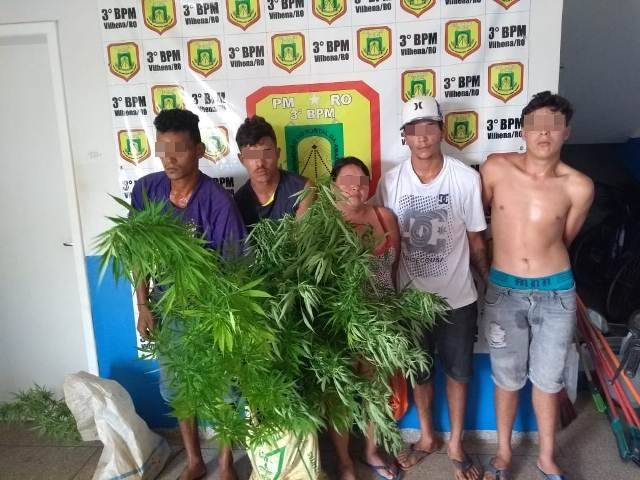 Vilhena: ligação anônima leva polícia a prender família que cultivava pés de maconha em casa