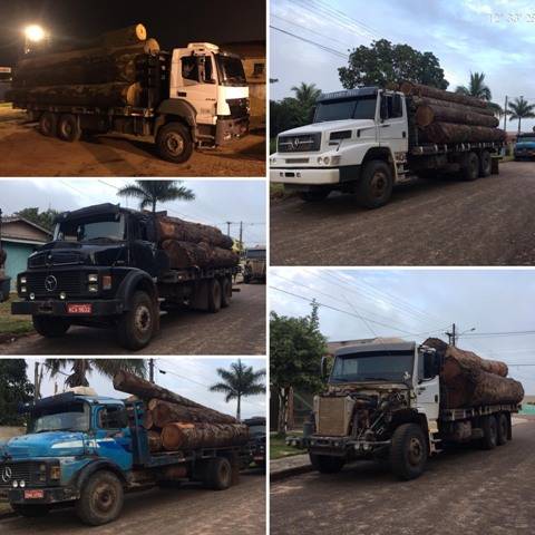 Polícia Ambiental apreende nove caminhões com madeiras irregulares na região de Chupinguaia