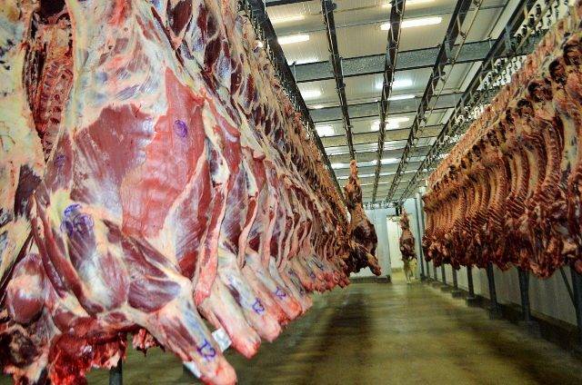 Carne e soja representam mais de 70% das exportações de Rondônia, que já chegaram a R$ 212 milhões este ano