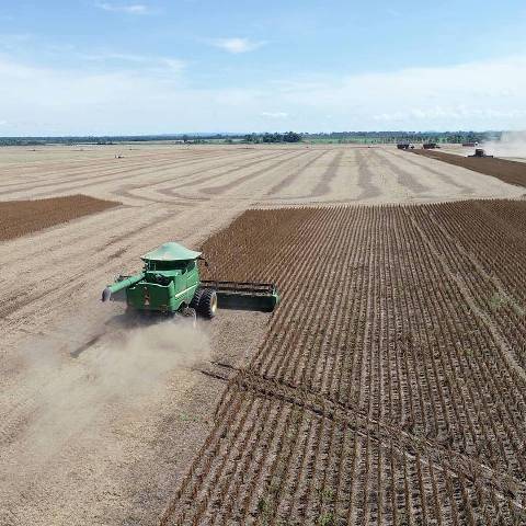 Com agricultura familiar forte, um dos menores municípios do Cone Sul também se destaca na produção de soja