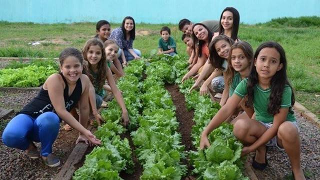 Com participação inclusive de detentos, começa projeto que prevê implantação de hortas em escolas de Vilhena