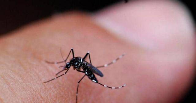 Cidade do interior de Rondônia confirma causa da morte de universitária de 22 anos: febre Chikungunya