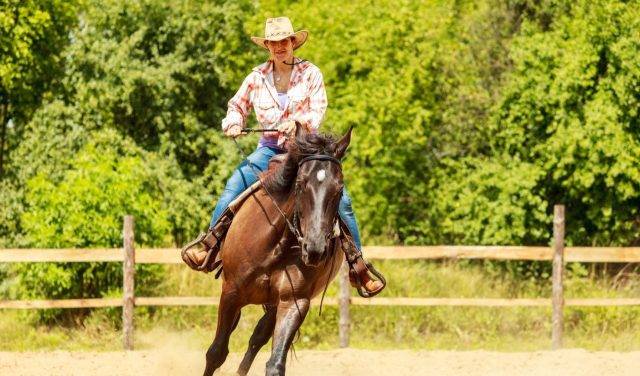 Vilhena: 1ª Rondônia Rural Sul vai oferecer curso gratuito de Doma Racional de Cavalos