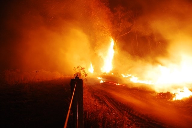 FOTOS MOSTRAM FOGO DEVASTANDO ZONA RURAL DE CHUPINGUAIA