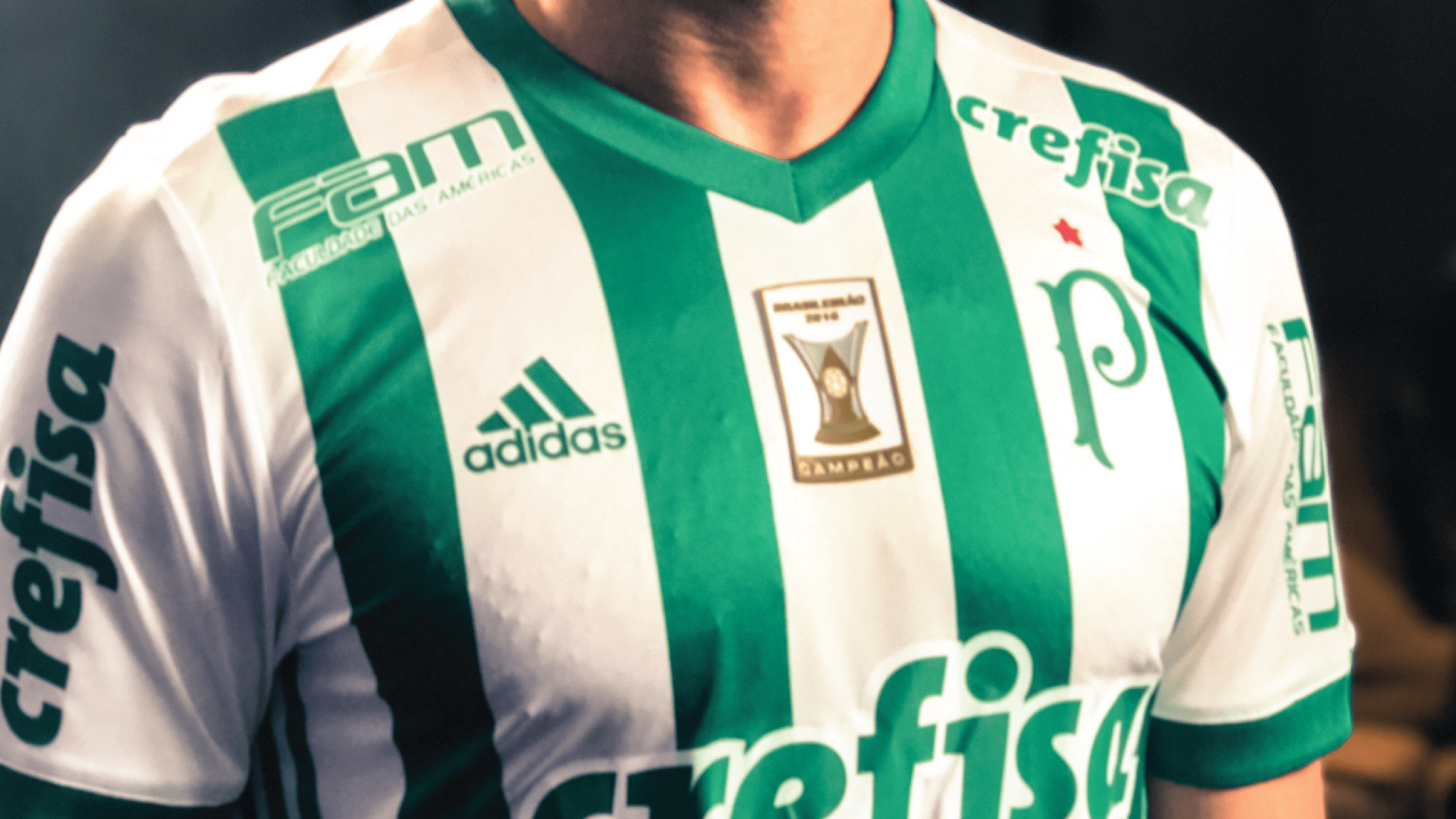 Em RO, torcedor do Palmeiras perde ação contra Adidas e ainda é zoado por juiz em sentença: “não tem mundial”