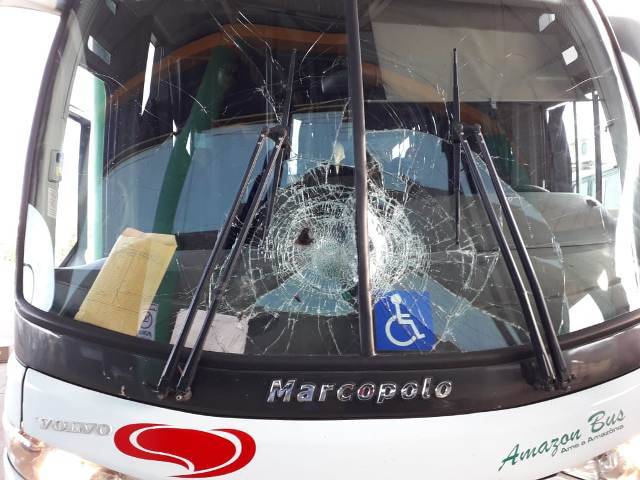 Pássaro atinge pára-brisa de ônibus que ia de Vilhena para Colorado, mas motorista evita capotamento