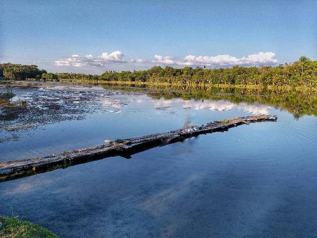Dois meses após desastre ambiental, Lagoa Azul se recupera; estudo mostrou que não houve contaminação por agrotóxicos