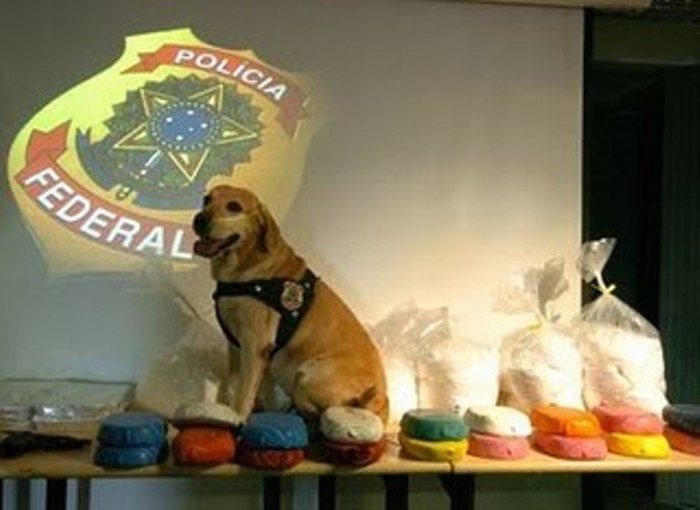 CADELA POLICIAL LEVA RONDONIENSE PARA A CADEIA NO MATO GROSSO