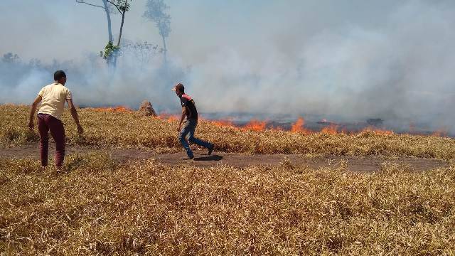 Durante período de estiagem, incêndios continuam castigando Vilhena e Chupinguaia; polícia é acionada nas duas cidades