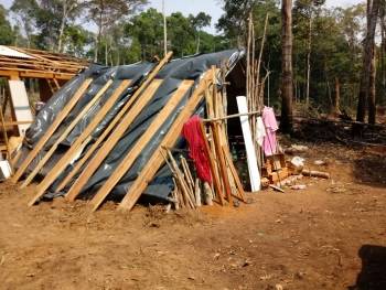 Em município que faz divisa com Vilhena, mulher de 69 anos é presa acusada de grilar terras