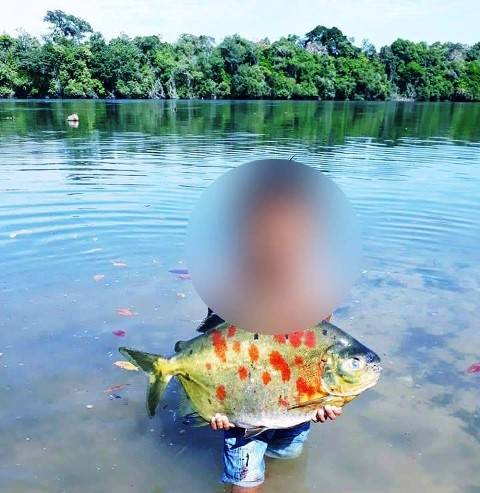 Exame aponta que índio de 6 anos morreu por desidratação após se perder em mata na região de Juína, a 240 km de Vilhena