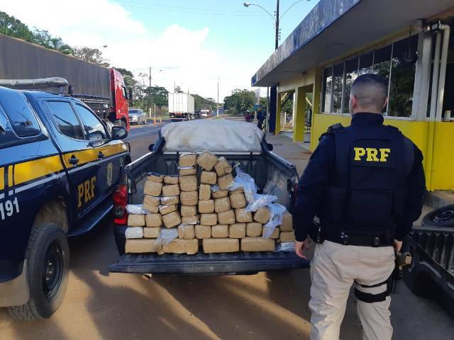 PRF já bateu recorde de apreensões de drogas em rodovias federais de Rondônia neste ano