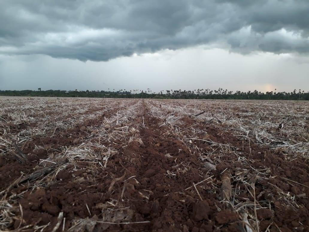 Fora da época de colheita e plantio, agricultores da região de Cerejeiras focam em lidar com mercado financeiro