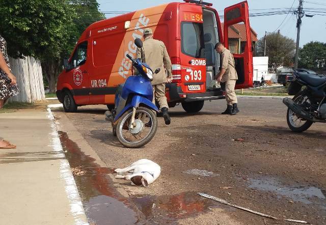 Bombeiros são acionados após cãozinho solto pelas ruas ficar preso embaixo de motocicleta no centro da cidade